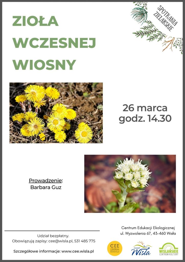 Zioła Wczesnej Wiosny Centrum Edukacji Ekologicznej W Wiśle 7920